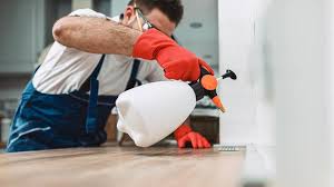 Best Residential Pest Control  in Stuarts Draft, VA